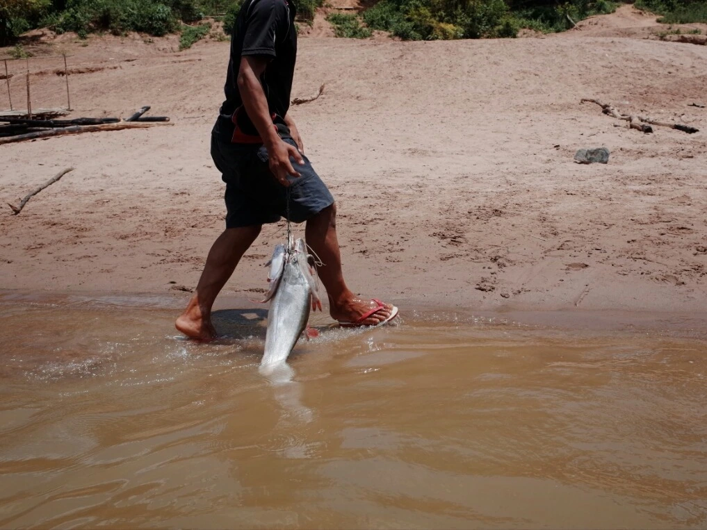 22564537556F1DA8174373