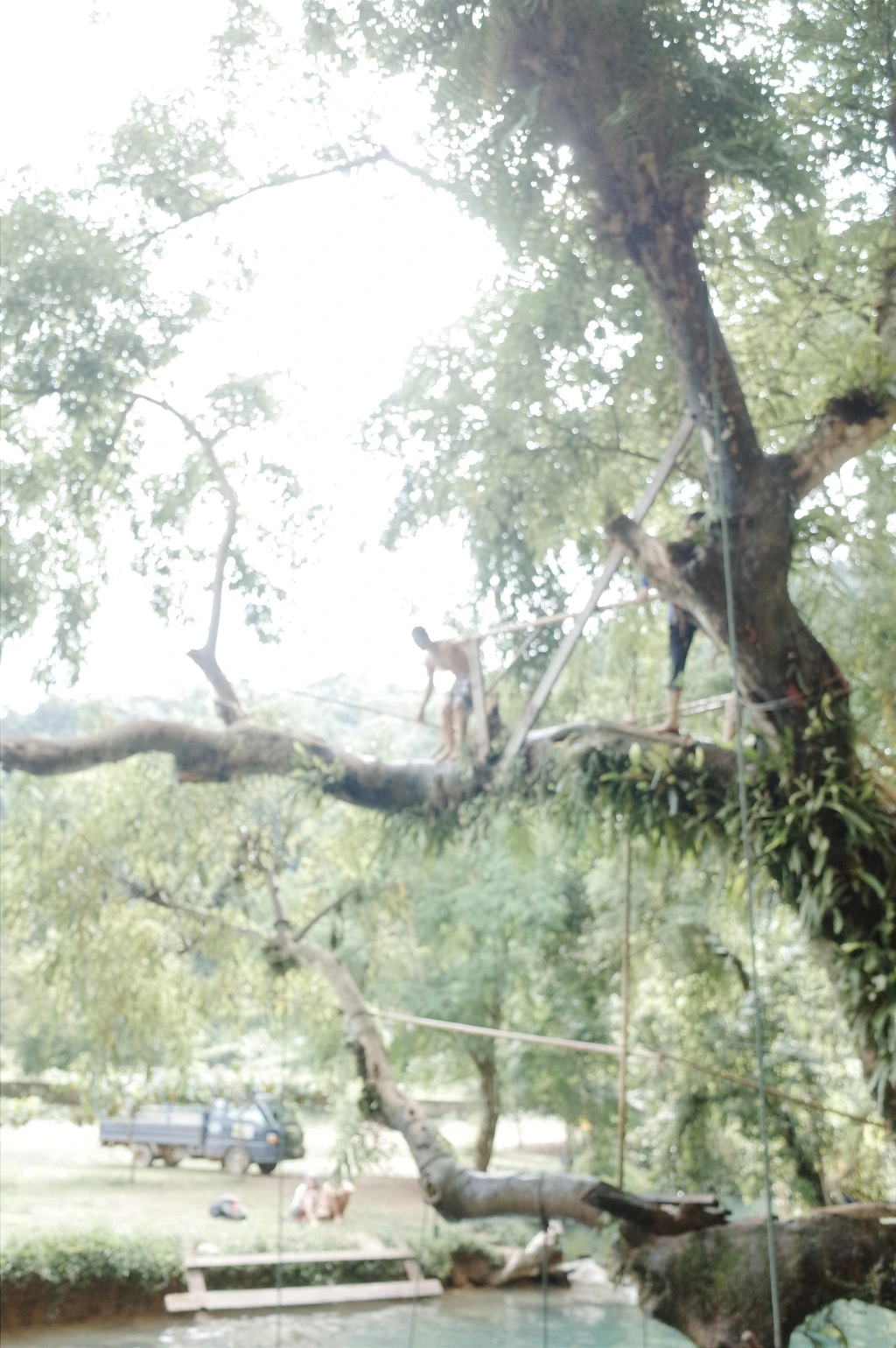 27117B3F5565D7212FDBB5