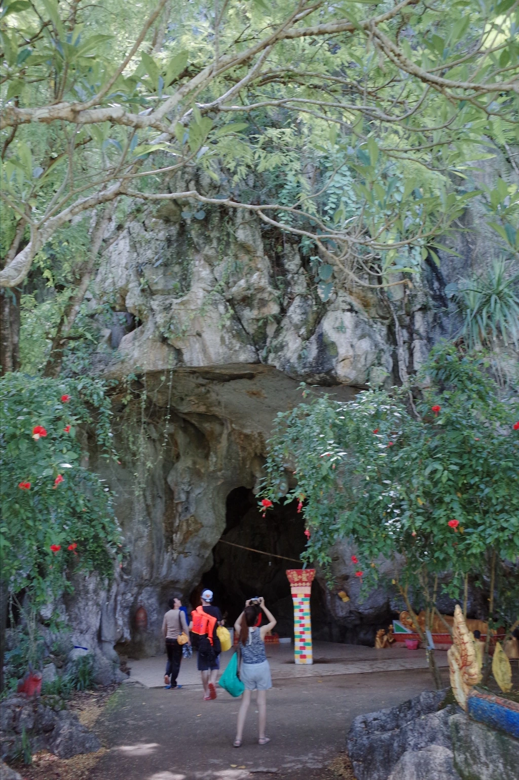 2443893D55636794224E12