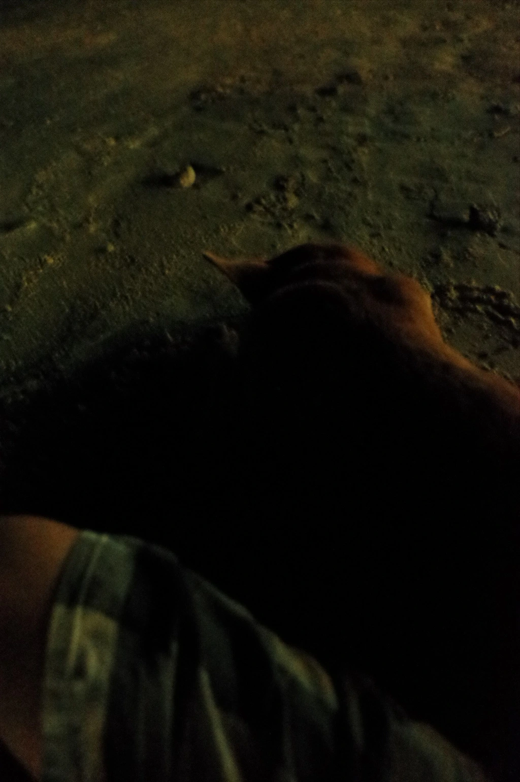 241F133C555DFDAB050214