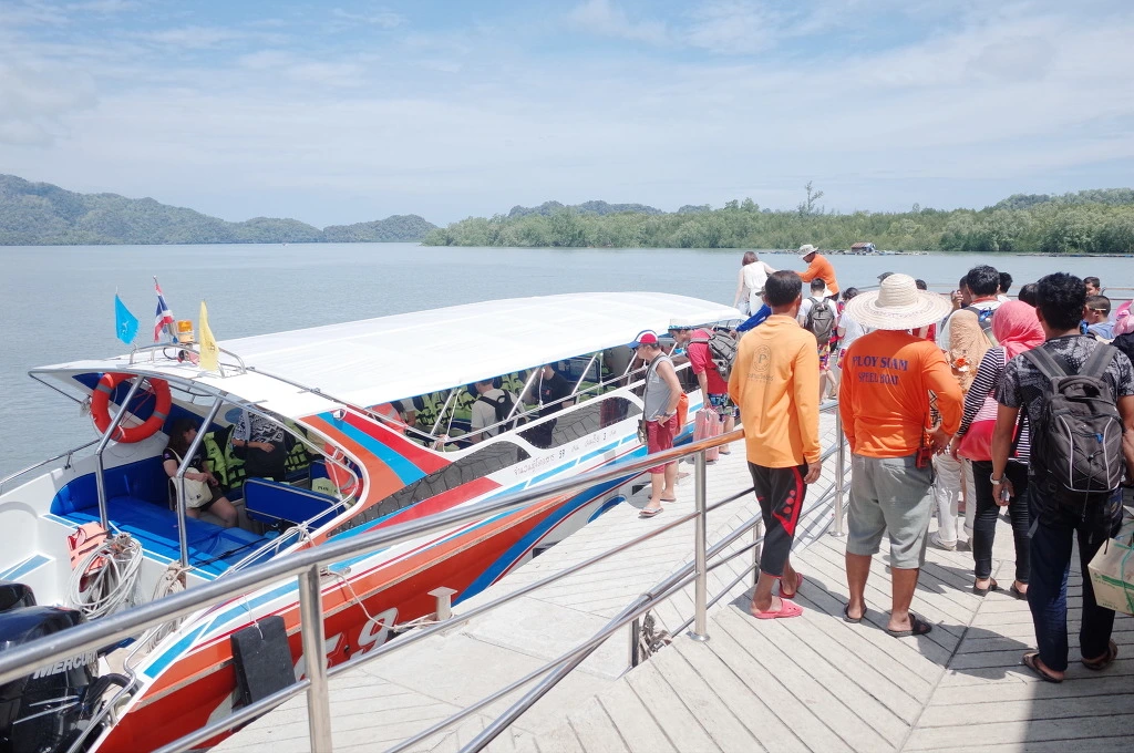 236CC93D555DF9B11A23FD