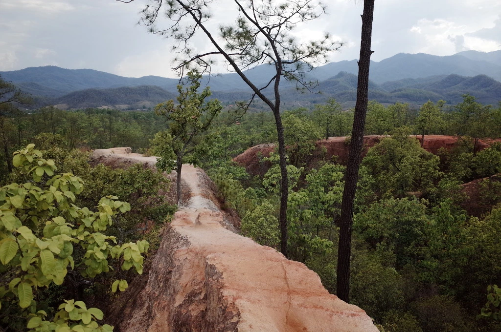 27208D41553A5F110C2819