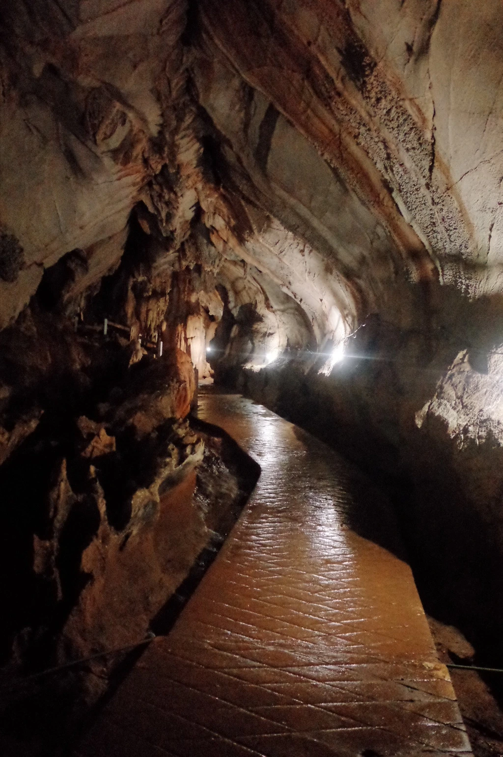 233BF8395565D5A93D3CBE