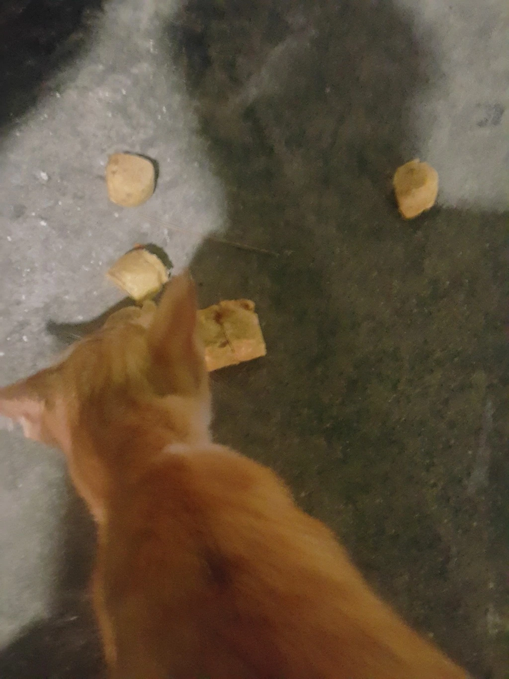 237D50345537BC991888D6