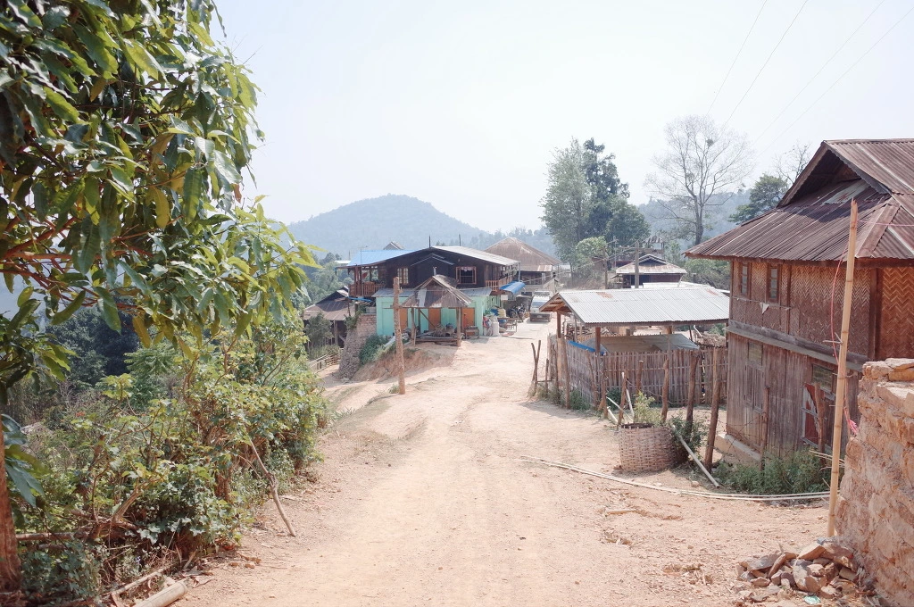 24117233556BC6E913C9FB