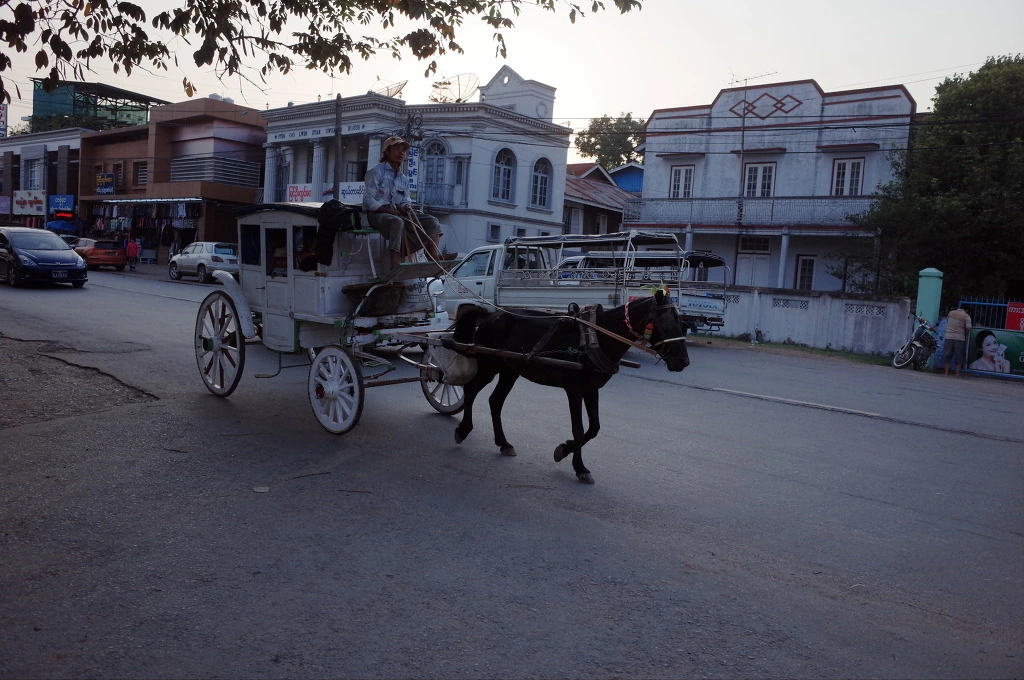 24438B43556D80AA06EED6