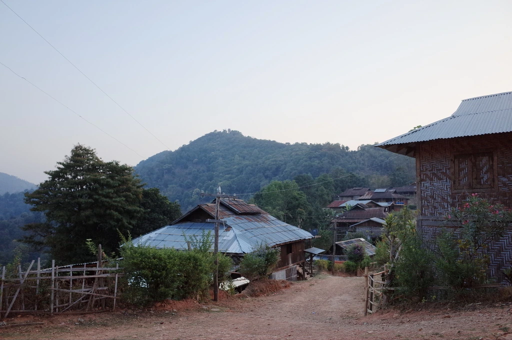 23133143556BD2B4028244