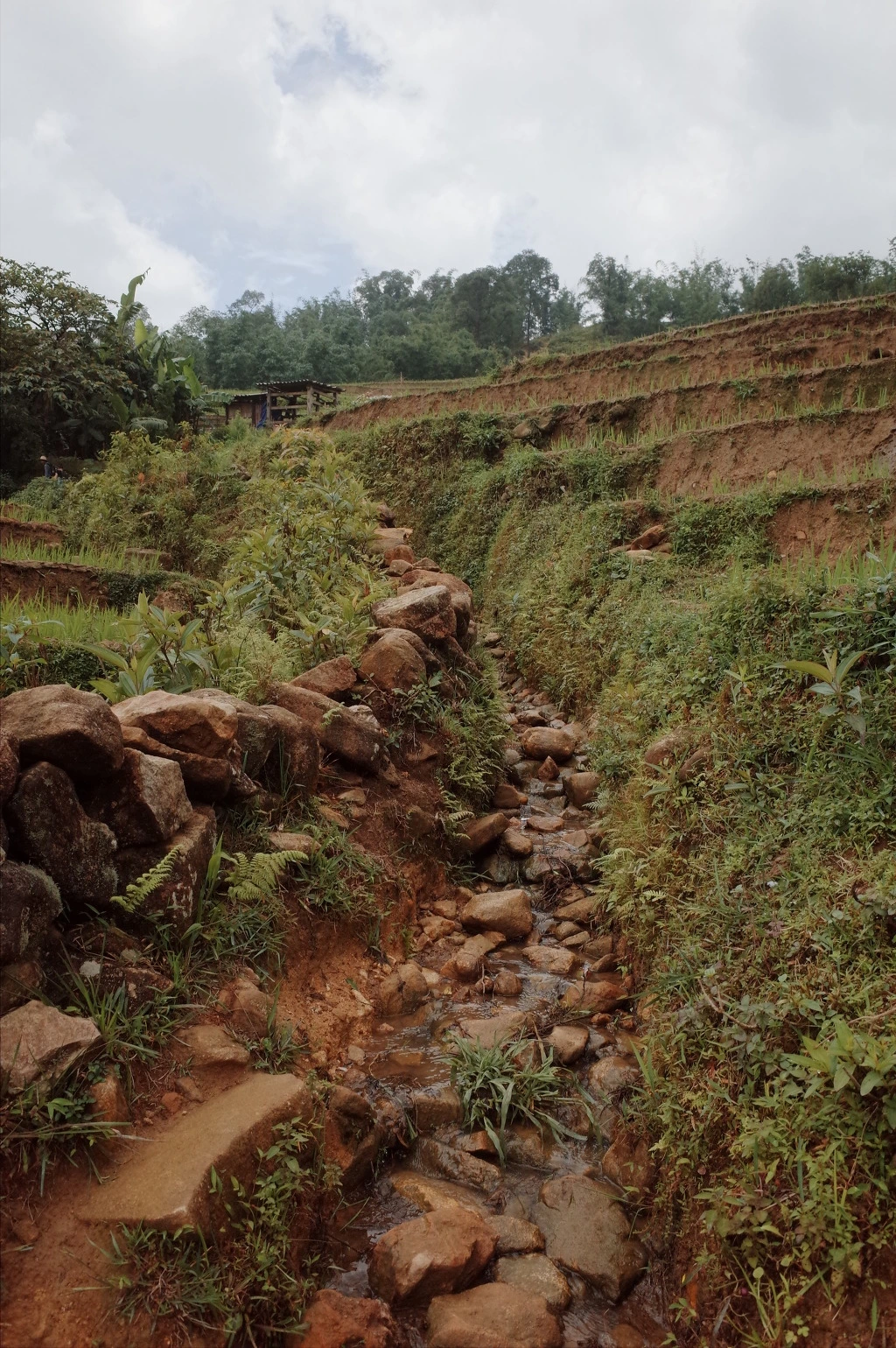 224FA2465574662D2354B5