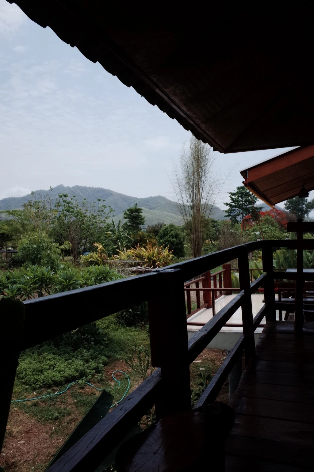 225F663D553A5985286F0A