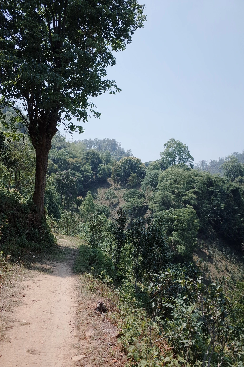 2245873E556BC64819148B