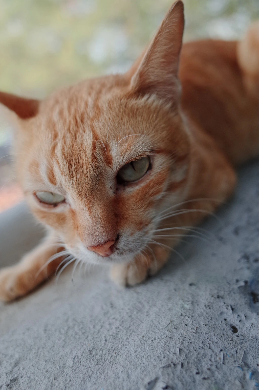 266164405551D9532FE9FC