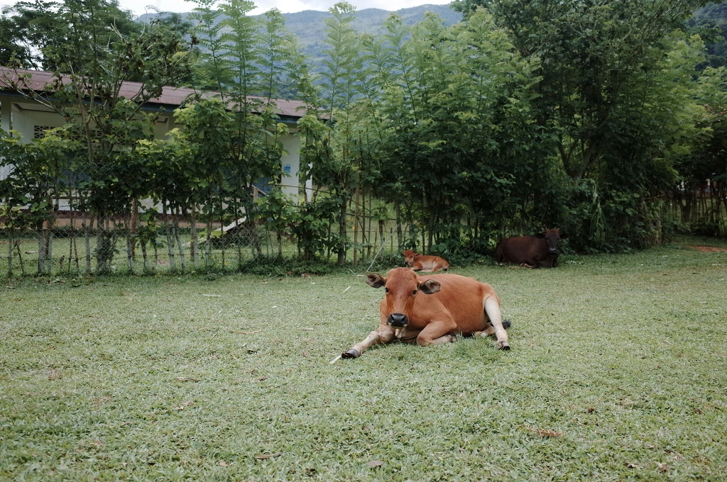 22525F40556C74E6314103