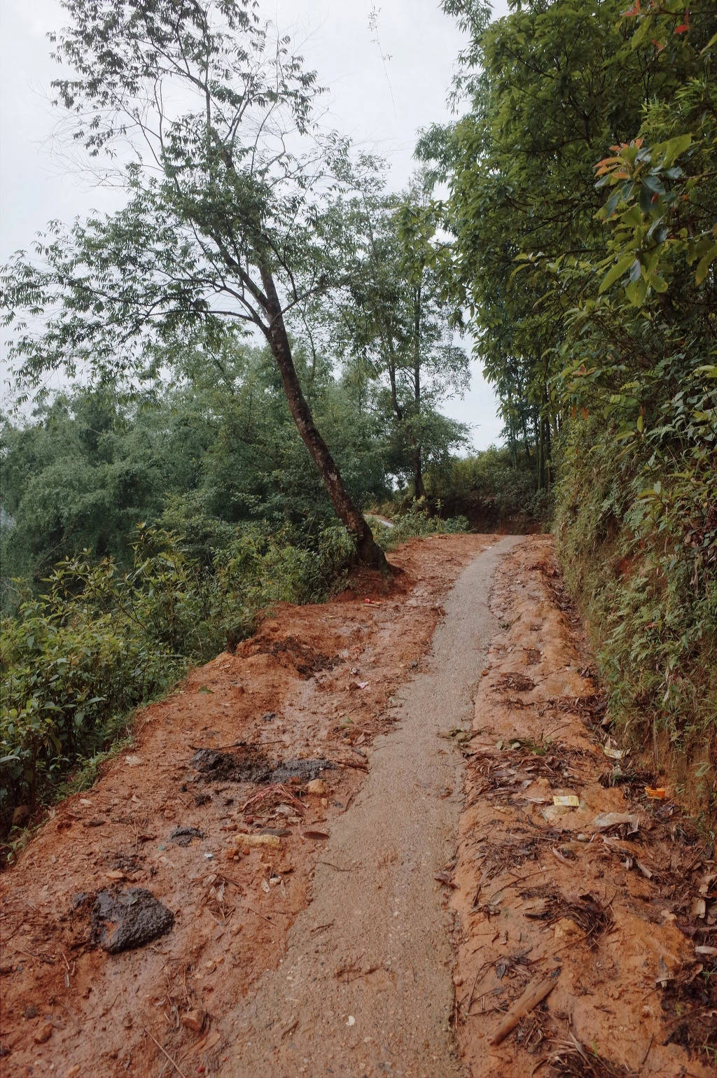 27440D3755746397352087