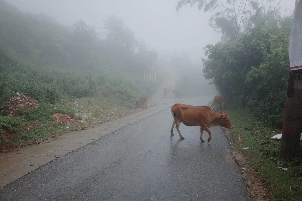 224D0B3F5574628F303DB8