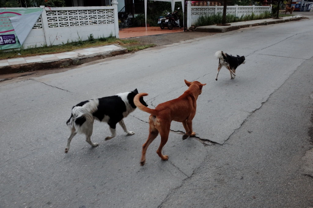 21538446553A55D4063F0A