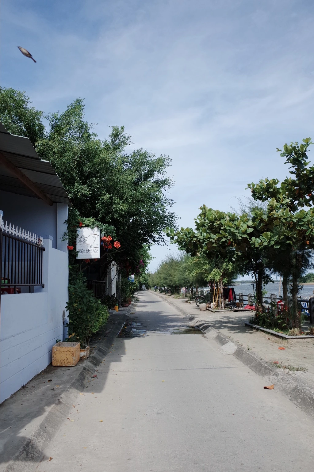 261EF73F5580DC3C155787