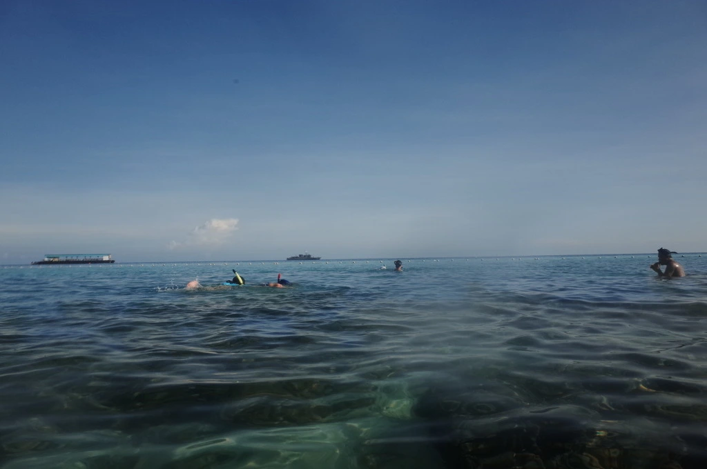 23013943555EB46F03F10F