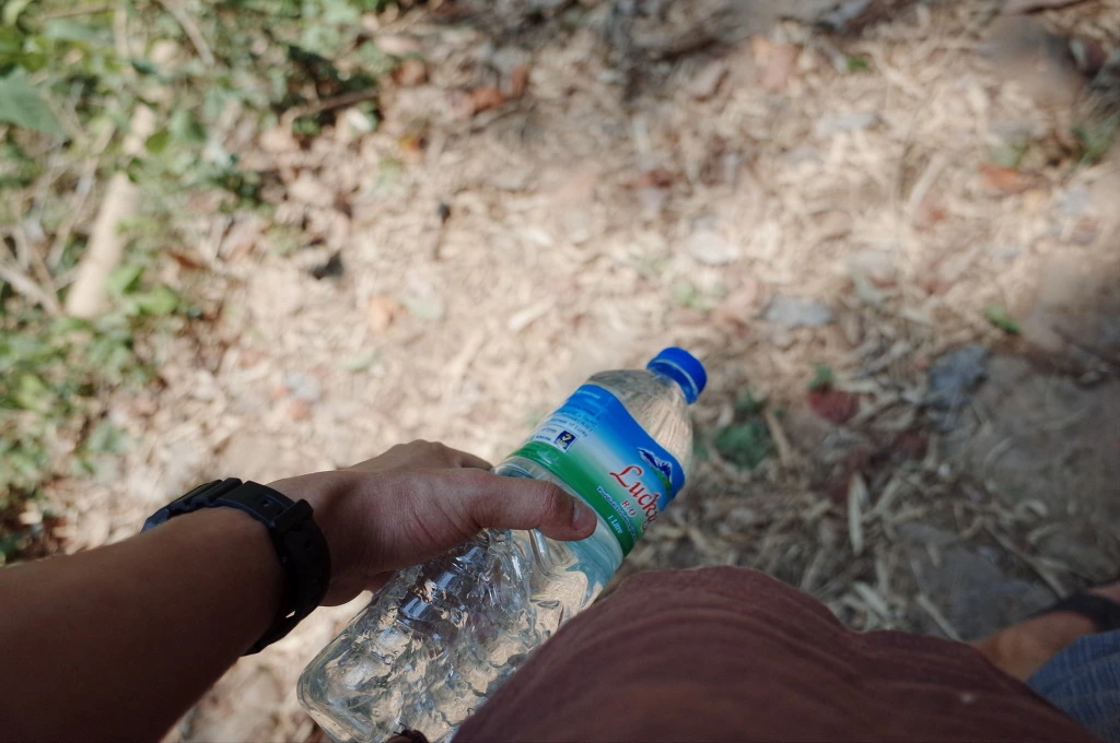 224D2B40556BD42F0DA350