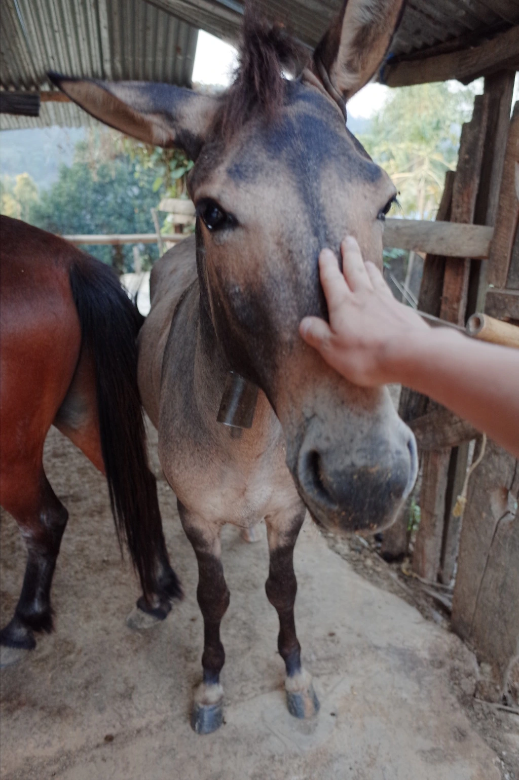 260F2A46556BD2C72CD9F1