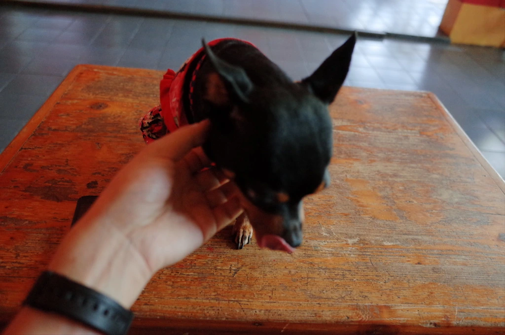 27205F39553CED192FF3BD