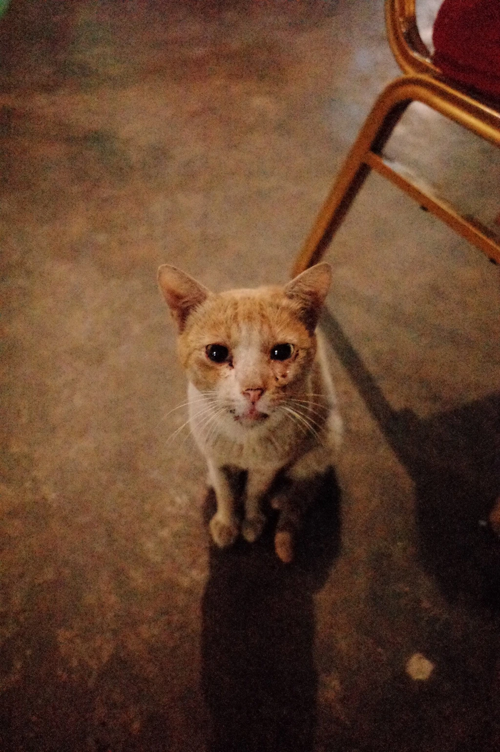 24714E46556BD69D069E3C