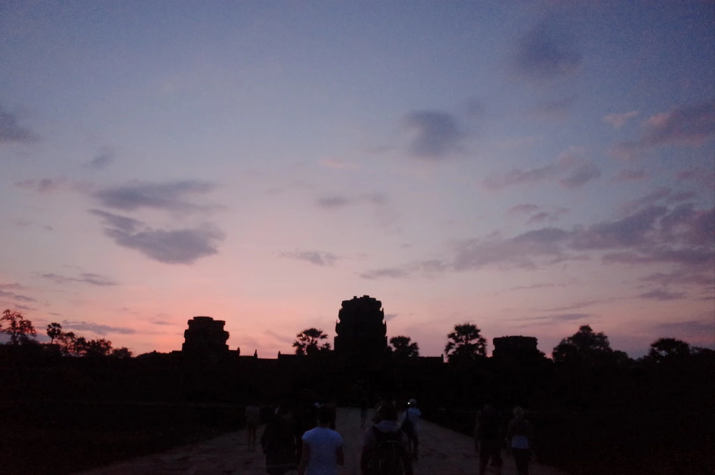 21265D435554EE0E24445F