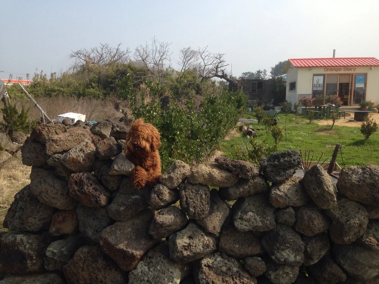 21613B50530C340219A426