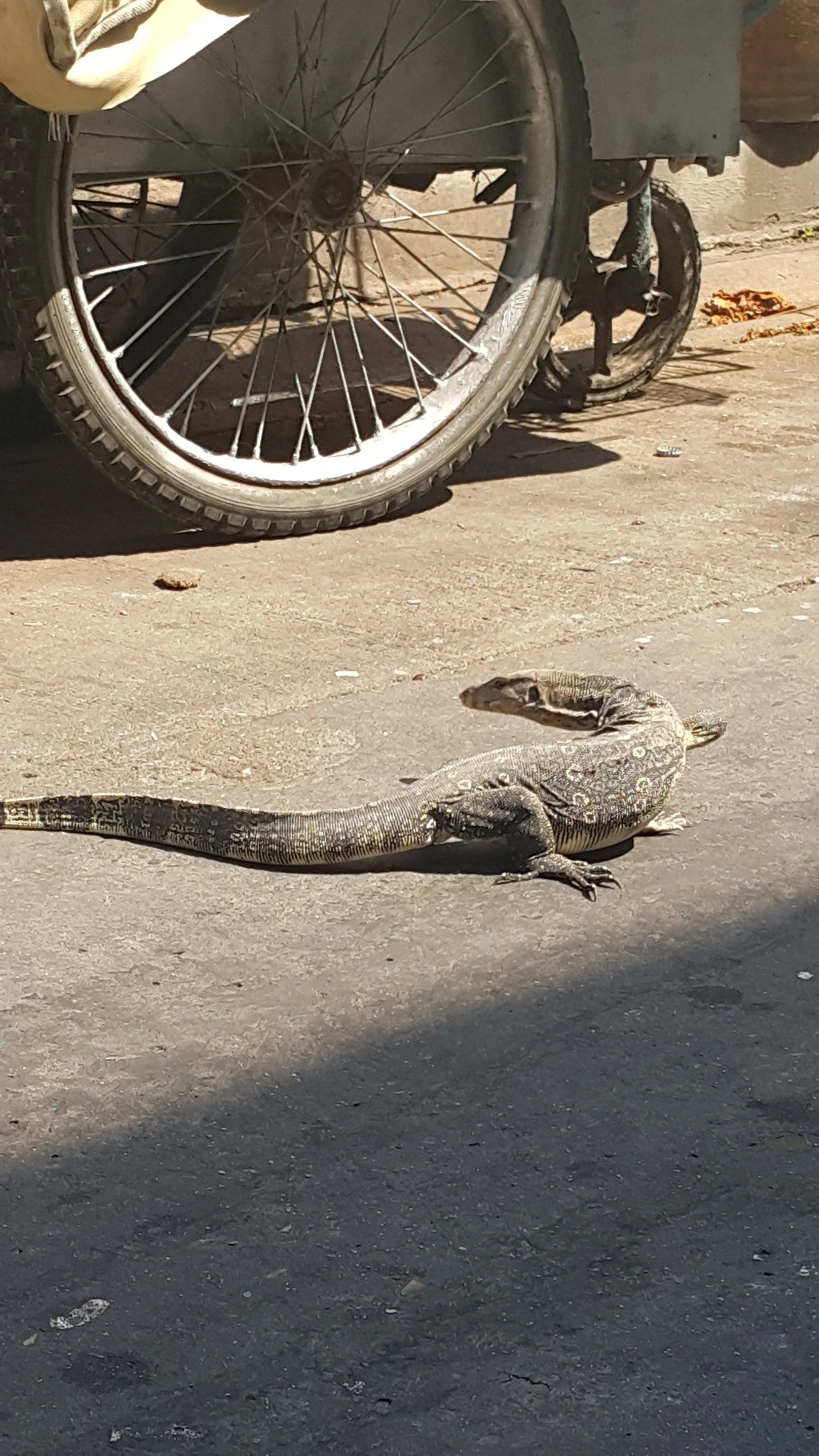 270DDC3A5537B7B22228C0