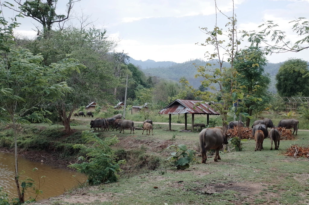 22209634553A5DA40837DF