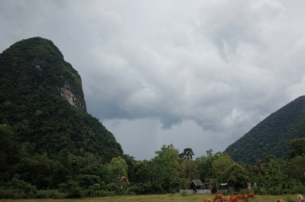 2162BA40556C750526CF59