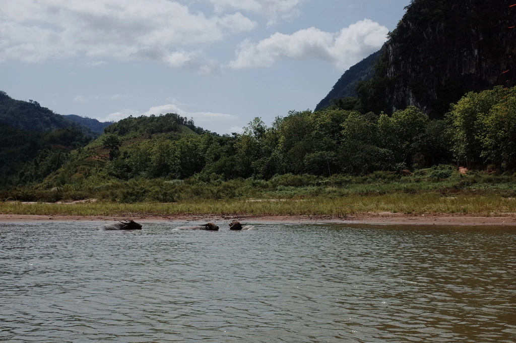 263B6E34556F1CDD0F4100