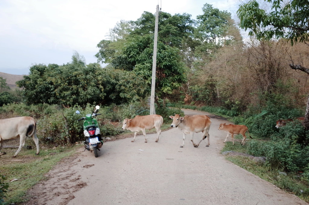 2133D246553C609D20A230