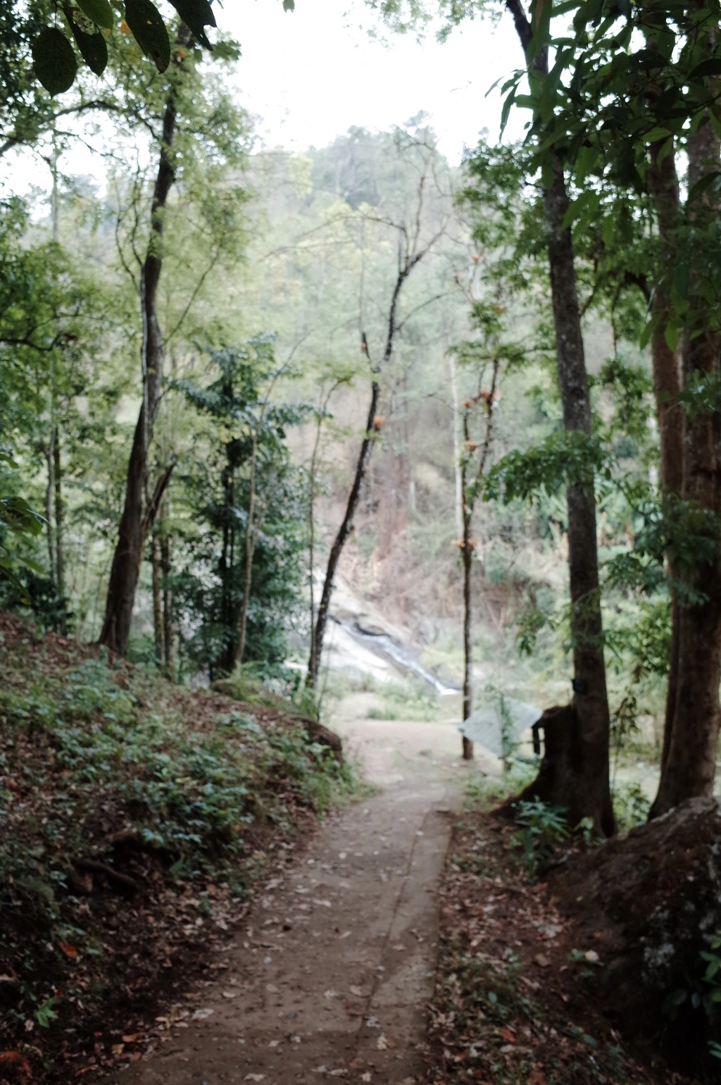 24273F40553C5FEC0FD4E5