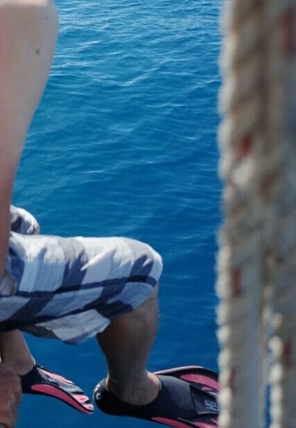 262B7944555DFF870297C0