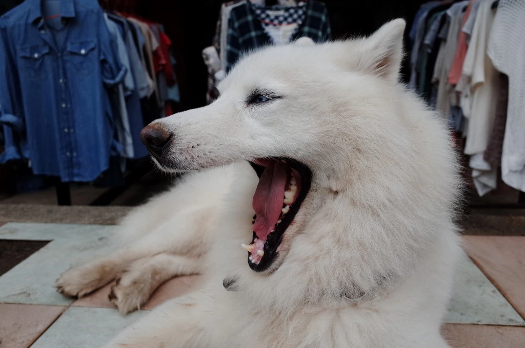 251E7142553A54B1284677