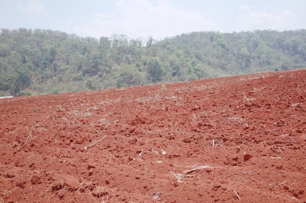 21096236556BD4DA25B3BE