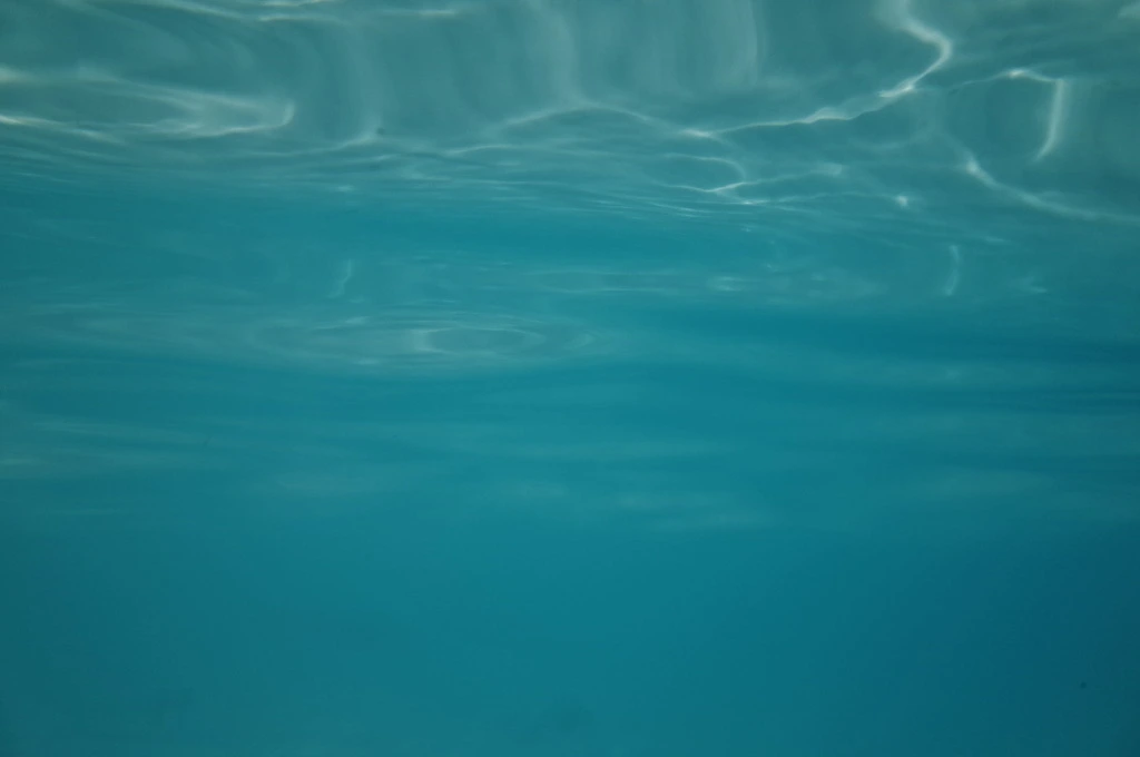 2277AF33555EAE5B17E91D