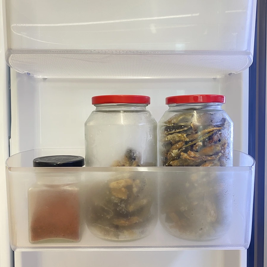 IMG_2123.JPG?type=w966