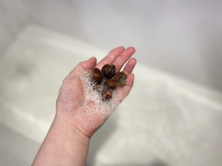 IMG_1052.JPG?type=w966