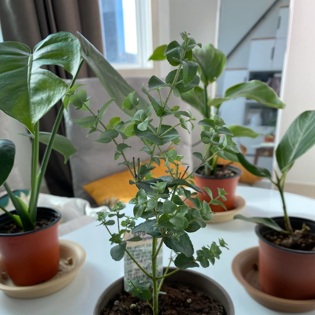 f3sGEJdkC9galq5jVvK7wOFu2zdviBnRU19wQ3bKk_AJ1Z3o2AoxOmRu1OeDIGSOVbvNe1LK6yDbHOTrRBrgB5Uxg1mY4dDKnhv3SOKwRAlrdUbilI4xejbOpJu9E19IhQ3QjyKodHpWfAkFQ7ljxSYOBoq6n2qgzRFqnbiJtJAYebkwZUCZppjgSHgp