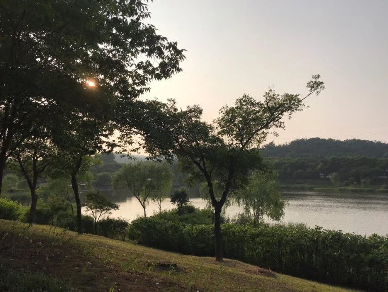 다운로드 (5).jfif