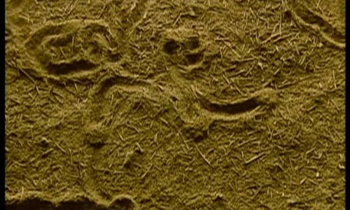 ?src=%22https%3A%2F%2Fphinf.pstatic.net%2Fimage.rmcnmv%2Ftvcast%2F2015%2F01%2F17%2F777%2F531C04F3A30FF34C71E37293533F8B138C5_muploader_f_480P_854_1024_128_logo.jpg%22&type=ff500_300