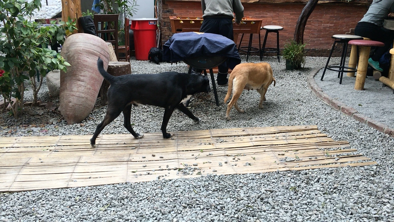 IMG_0354 (편집됨).JPG