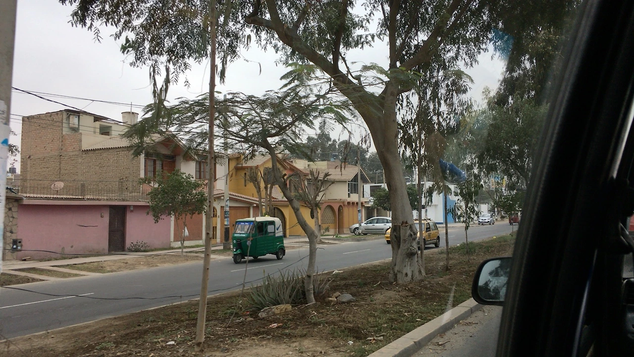 IMG_0349 (편집됨).JPG