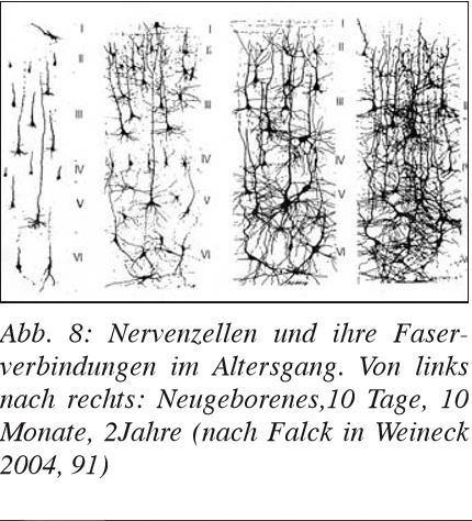 996983395BD9336C3B34A1