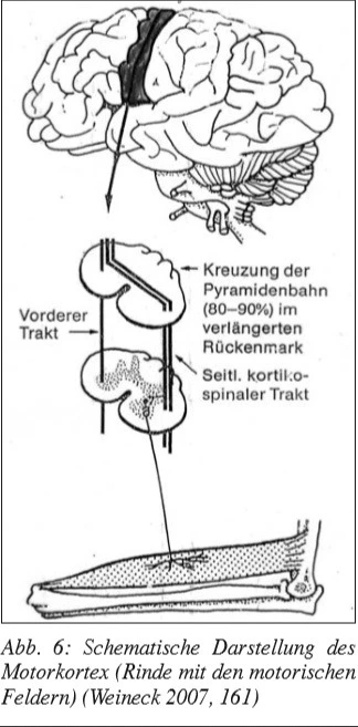 991F7F405BD93A1C1D62BF