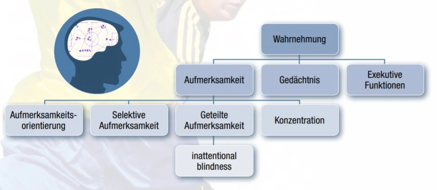 99AD1C4E5BD428CB18D0BF