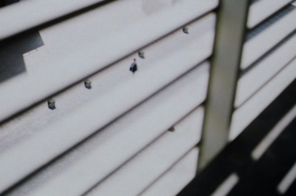 monthly_1704_hannam_4.jpg?resize=960%2C636