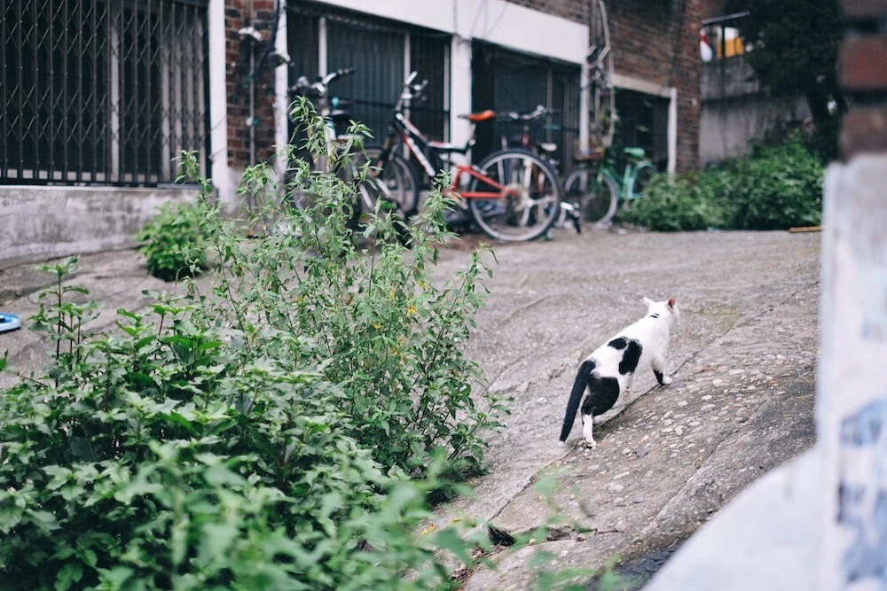 monthly_hannam_201707.jpg?resize=1000%2C667