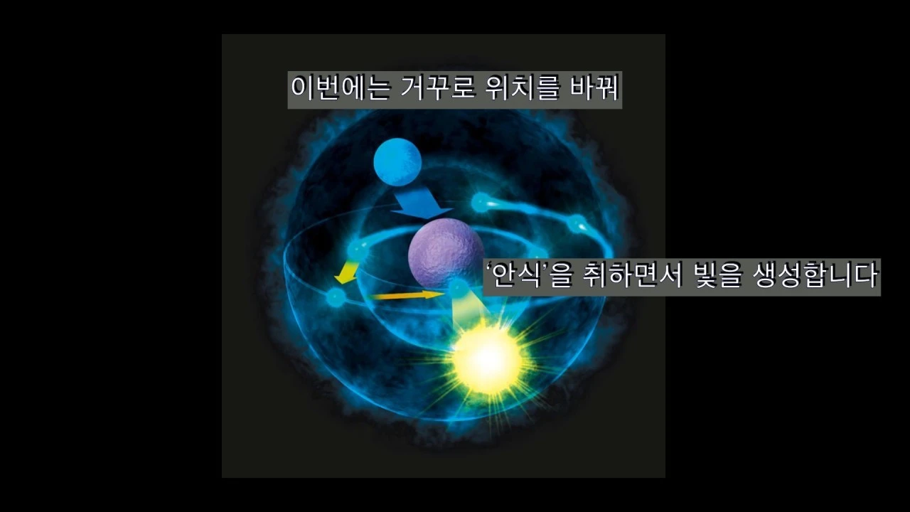 h_hj5Ud018svc1magsfpcv8qf_ei2lao.jpeg?type=e1920_std